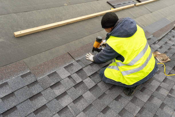 Best Rubber Roofing (EPDM, TPO)  in Roosevelt Park, MI