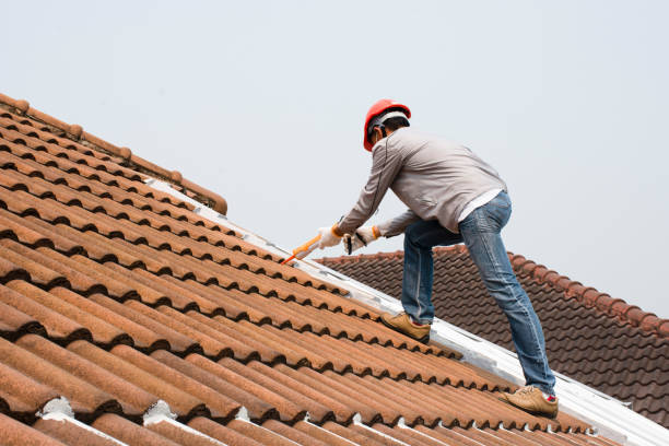 Best Emergency Roof Repair Services  in Roosevelt Park, MI