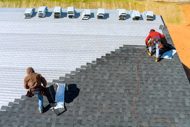 Best Solar Panel Roofing Installation  in Roosevelt Park, MI